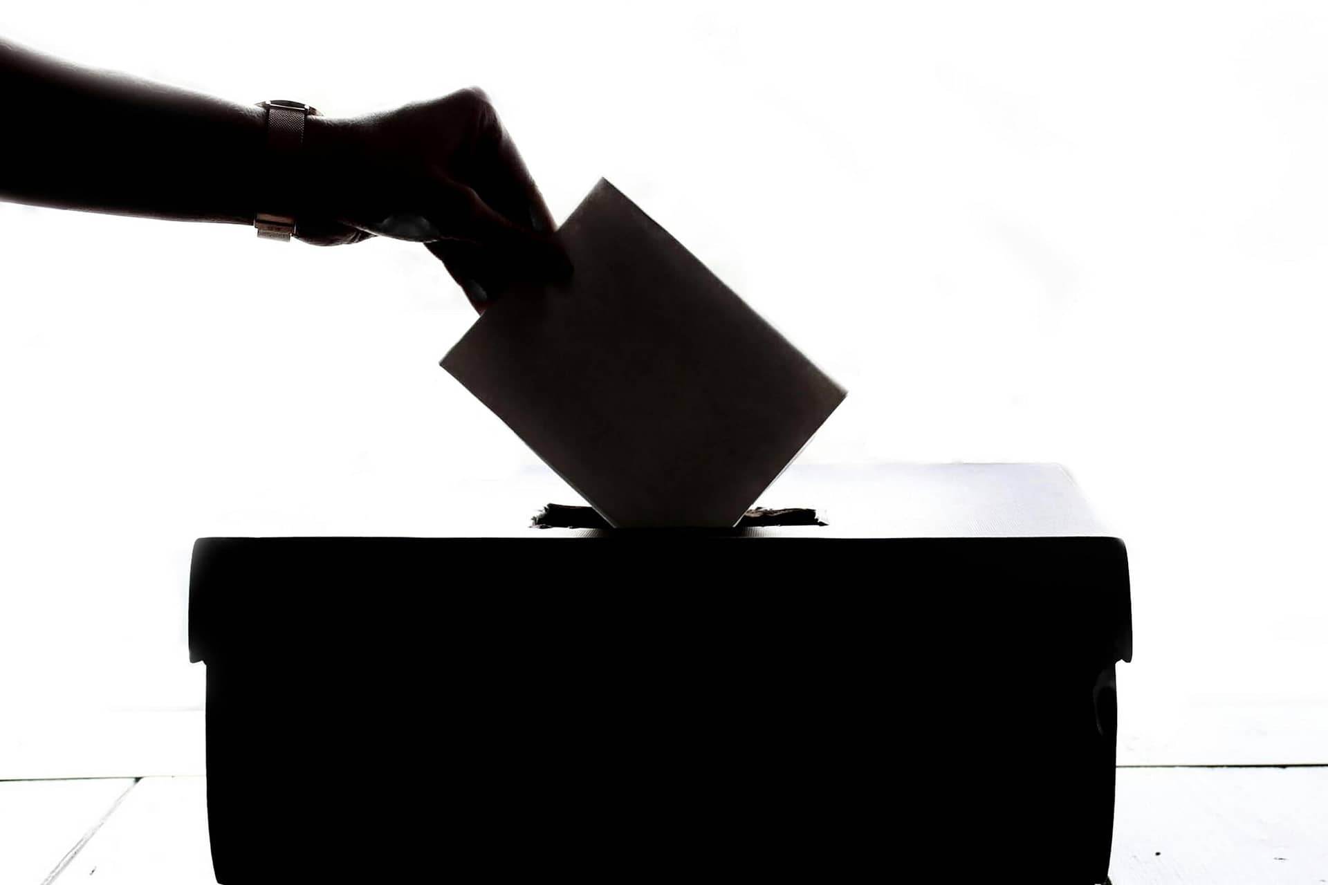 ¿Quién decide mi voto?