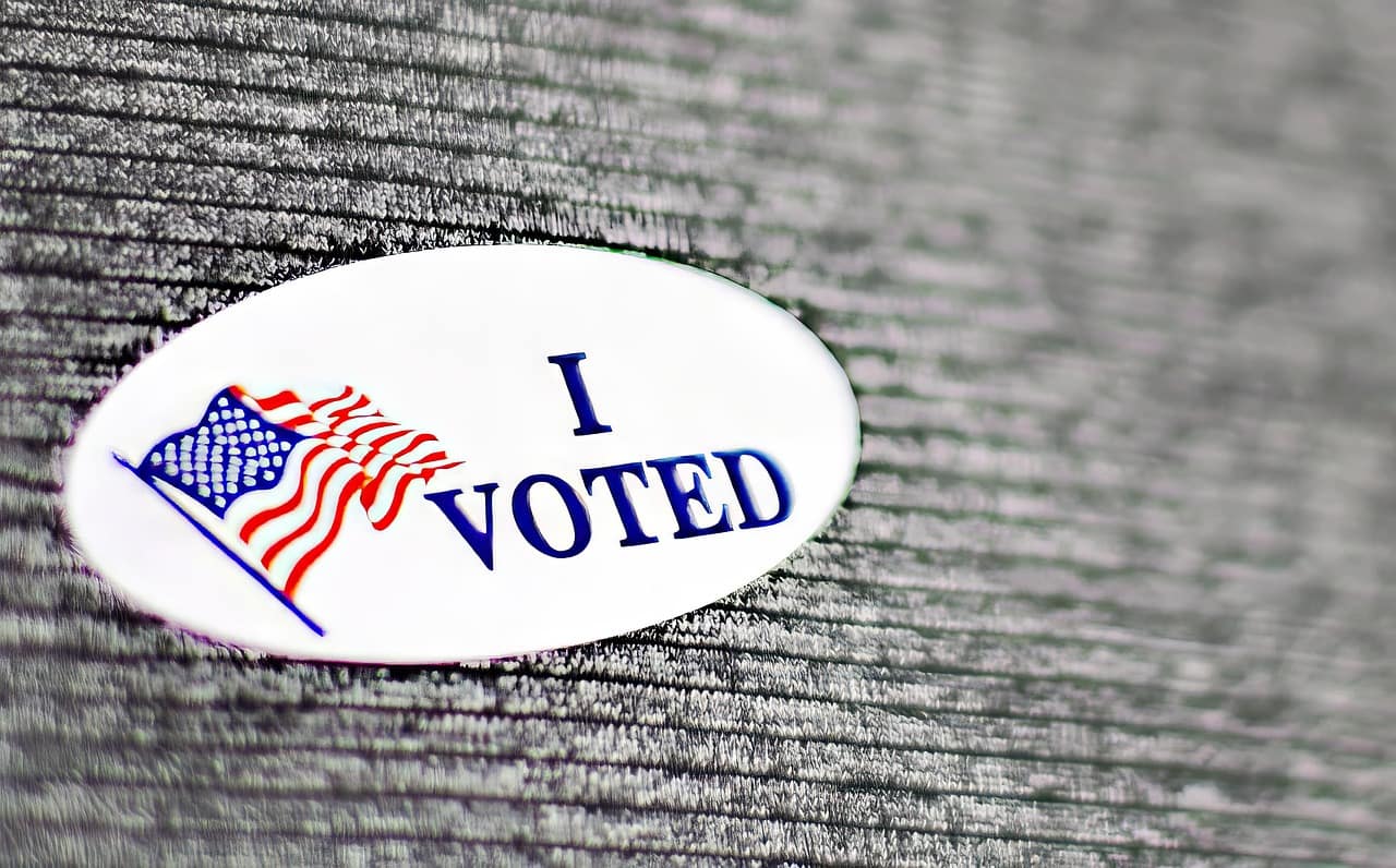 vote, sticker, i voted, election, politics, political, poll, decision, america, patriotic